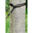 TreeMount Multipurpose Suspension Tree Strap for Hammocks