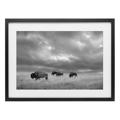 Bisons sous un ciel d'automne, reproduction sous verre, design par Steve Toole