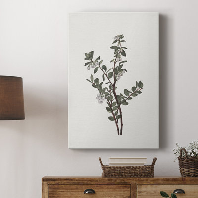 Vintage Floral Print CLXVII -Gallery Wrapped Cavas