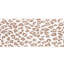 Safari Trim-2012636399