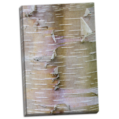 " Birch Bark " by Kathy Mahan