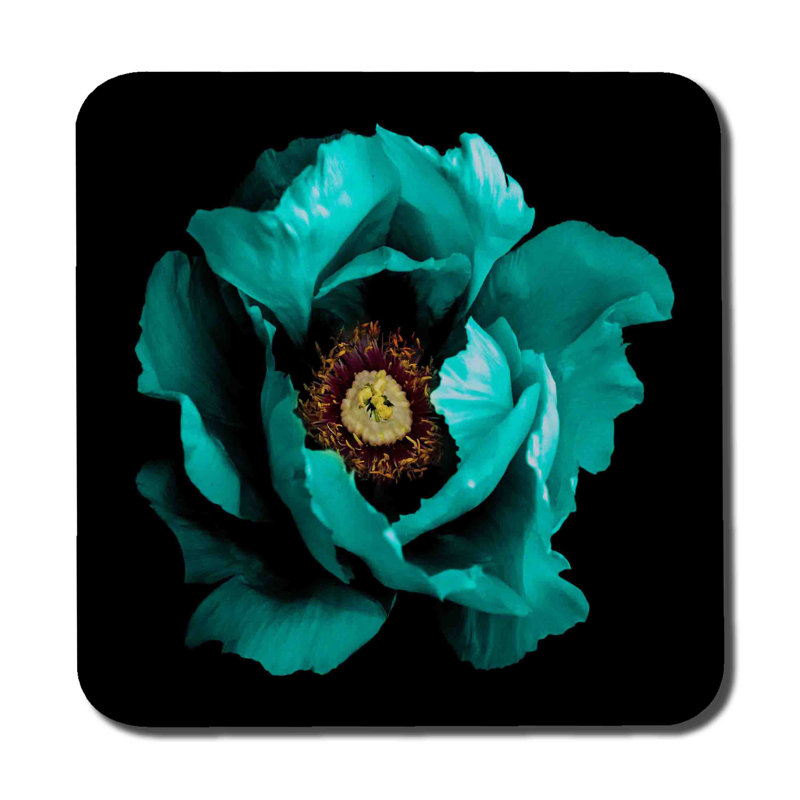 Square 6 Piece Coaster Set