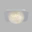 Anyelin Acrylic LED Flush Mount-1883329425