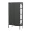 Benoît 70.87-inch Black Two Door Metal Storage Cabinet with Fluted Clear Doors