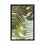 « tropical enchevêtrer i », art sur toile-72144568-72144569-72144574