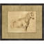 Charcoal Animal Collection 9 Print