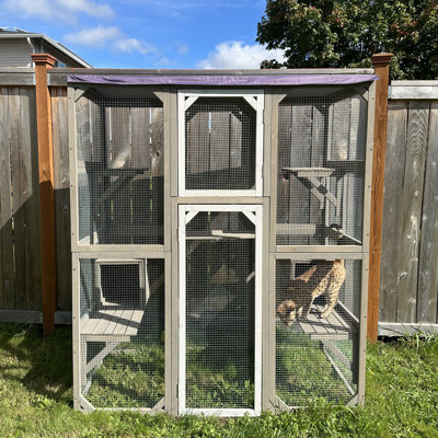67.7" H Walk-in Catio with Weatherproof Roof, Multi-Level Platforms & Window Access
