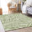 Premium Machine Washable Prisco Green Rug-971495237