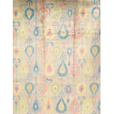 Paisley Area Rug