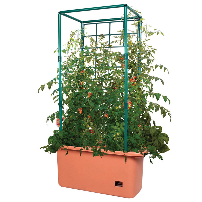 Goldwin 13.8'' H x 29.9'' W Plastic Lattice Panel Trellis