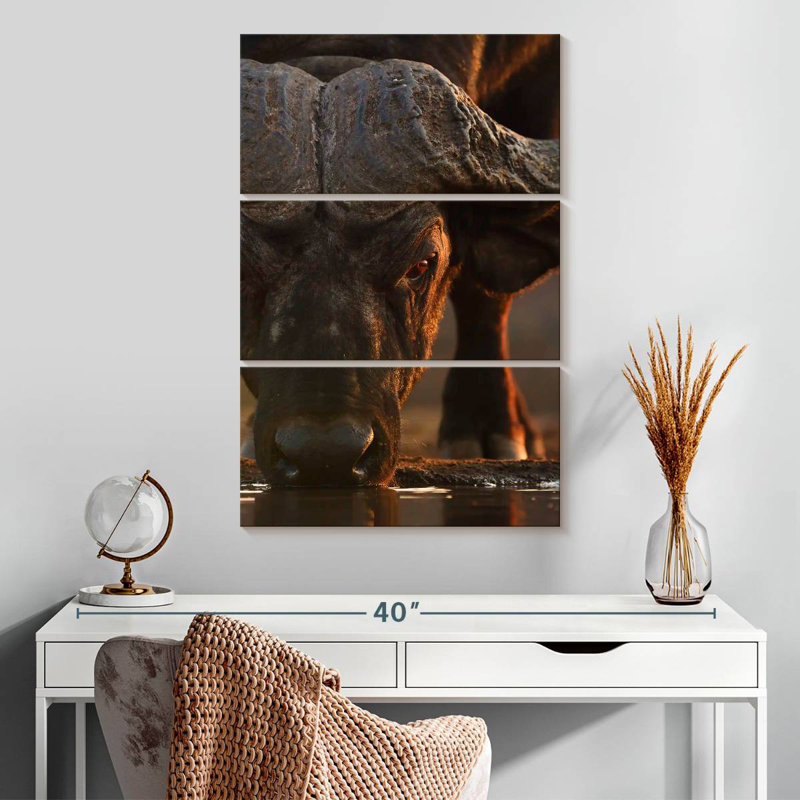 Brampt Drinking Cape Buffalo, 32" H x 20" W