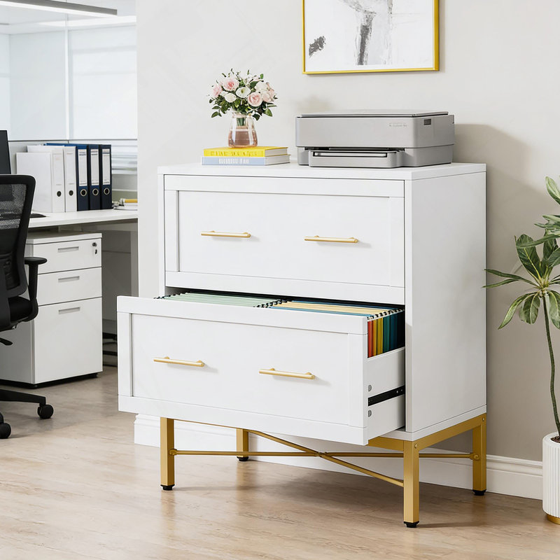 Classeur de bureau, classeur à 2 tiroirs, armoire de rangement au design épuré