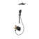 Resort 10-in Rain Showerhead Combo Shower System with Adjustable Handshower Slide Bar and Pressure Balanced Mixing Valve