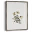 Impression florale vintage encadrée CL XXVI - bois massif-393432353