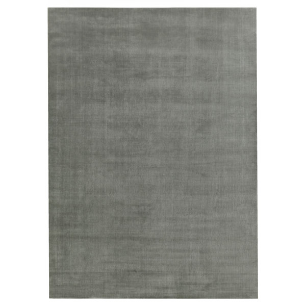 Exquisite Rugs Smart Gem Area Rug in Sky & Reviews | Perigold
