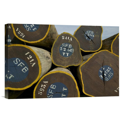 Legal Lumber from Congo Forests' Photographic Print -  East Urban Home, URBP1971 41070196