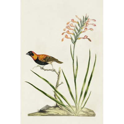 " Bird In Habitat III "