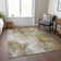 Machine Washable Indoor/Outdoor Cinead ACN1687 Mocha Rug