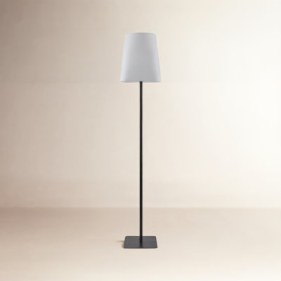 66.3'' Iron Floor Lamp