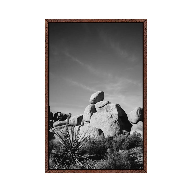 Joshua Tree National Park XIV by Bethany Young - Print on Canvas, 152.4cm H x 101.6cm W x 3.81cm D, Classic Brown Wood Framed