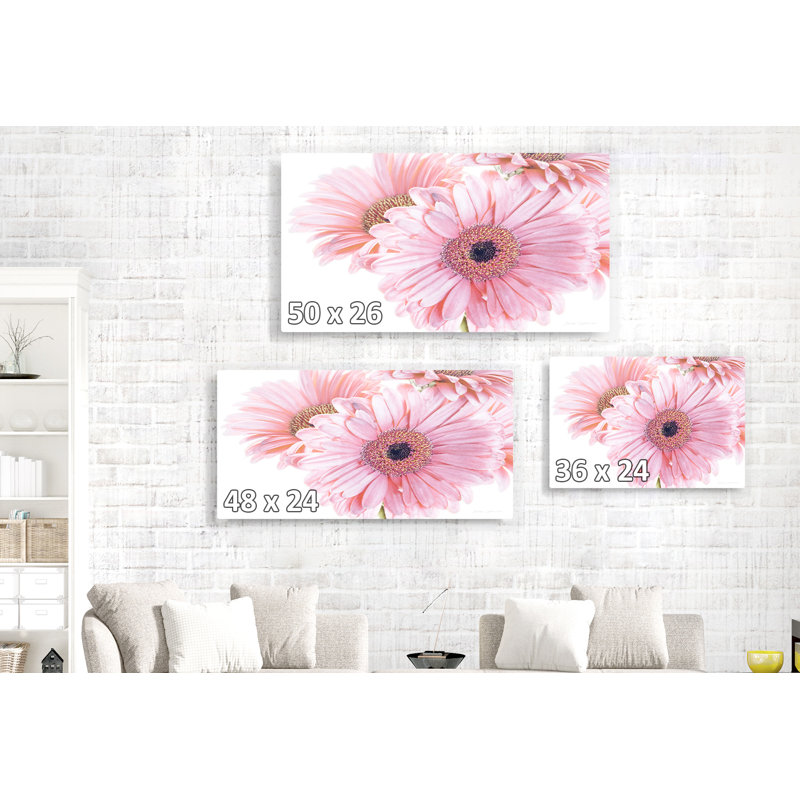 Gerbera, rose pastel, conceptuel, photo, H 24 po x l 48 po x P 1,5 po