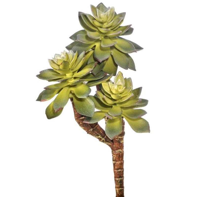 Étoile plante grasse artificielle et arbres