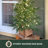 Potted 4' Pre-Lit Tree