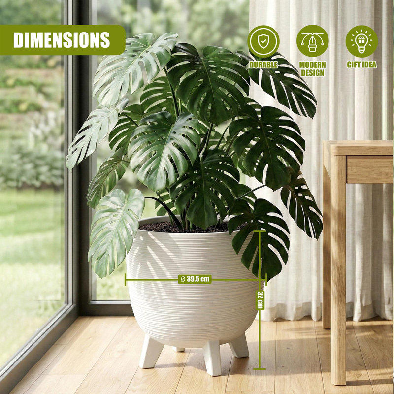 Pot Planter, 32cm H x 39.5cm W x 39.5cm D, White