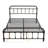 Hidalgo Platform Bed