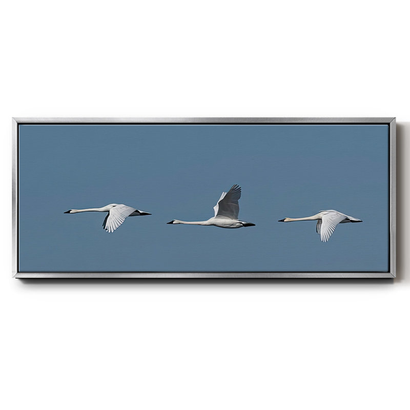 «Wing Up Wing Down», toile encadrée
