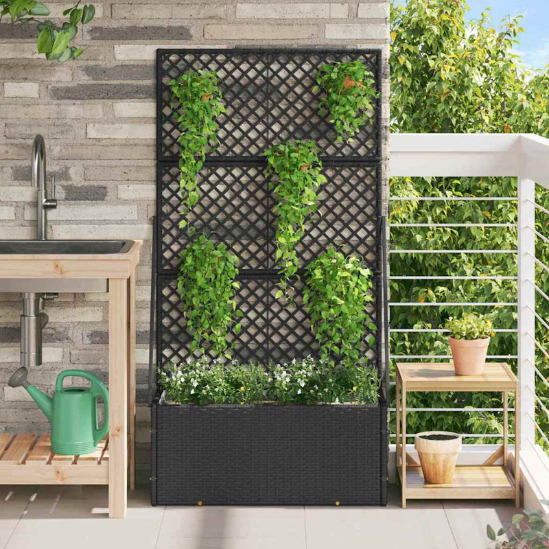 Rattan Pot Planter, Black