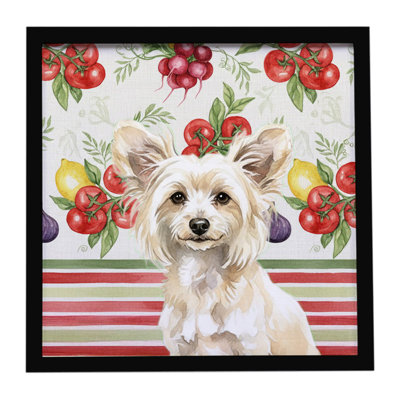 Powderpuff Chinese Crested Vegetables Framed Metal Print