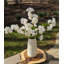 Arrangement floral cerisier en fleurs dans un vase (5 tiges)