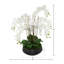 Orchid Centerpiece in Ceramic Pot-930332675