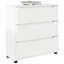 80cm W Chest of Drawers-805066082