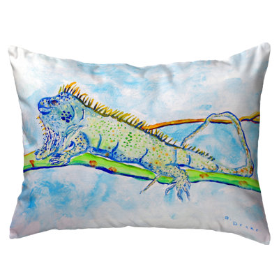 Iguana Outdoor Rectangular Pillow Cover & Insert