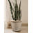 Pot Planter-1307800053