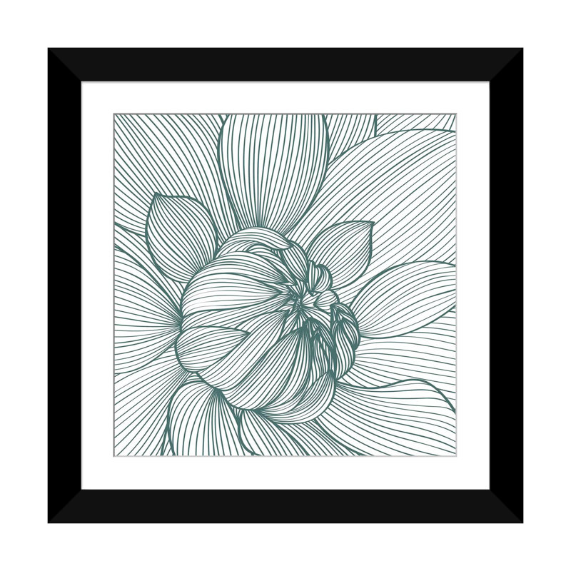 «Myrrhis Odorata I», impression sur toile, Blanc, H 16 po x l 16 po x P 1 po, Papier d'art encadré noir