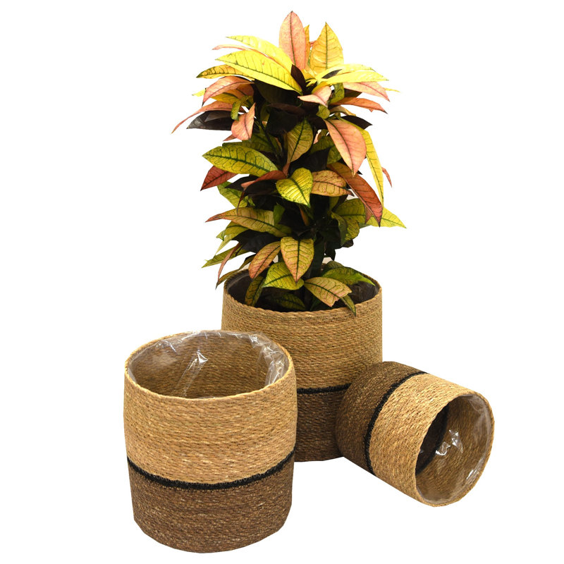 Roxanne Pot Planter