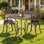 Ensemble bistro 3 pièces pour table bistro et chaises d'extérieur, bistro en aluminium coulé à motif rose pour balcon de jardin, résistance durable à la rouille et aux intempéries, bronze rose