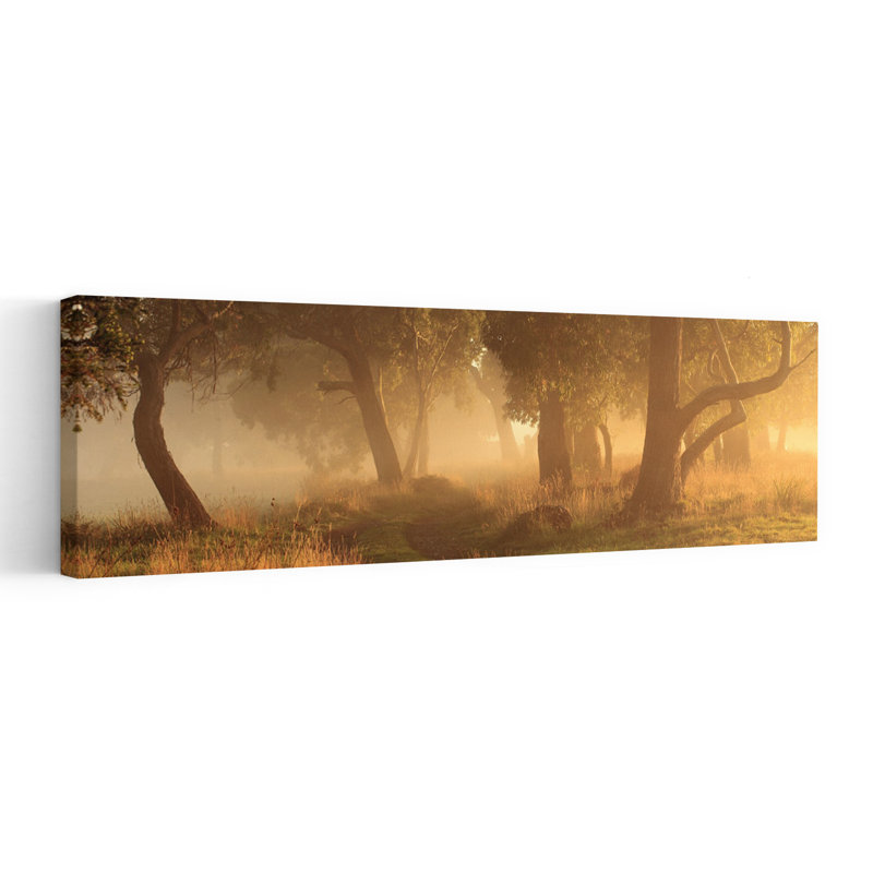 Misty Golden Woods by Garth Smith - Wrapped Canvas Panoramic Print, 91.44 cm H x 30.48 cm W