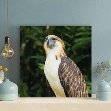 Philippine Eagle Flag | Canvas Print