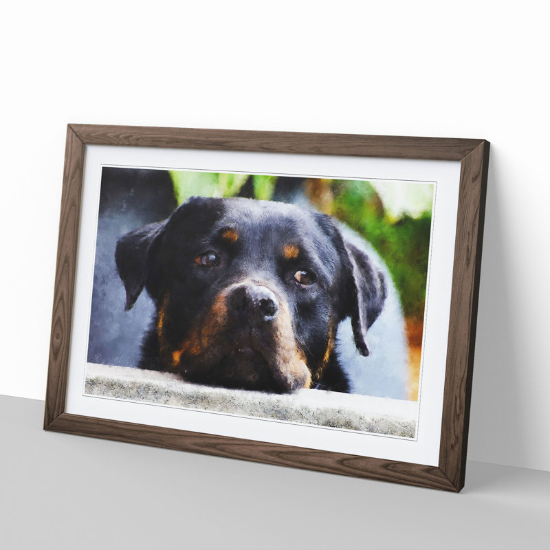 Rottweiler Dog - Picture Frame Graphic Art, 36cm H x 48cm W x 2cm D, Walnut Framed