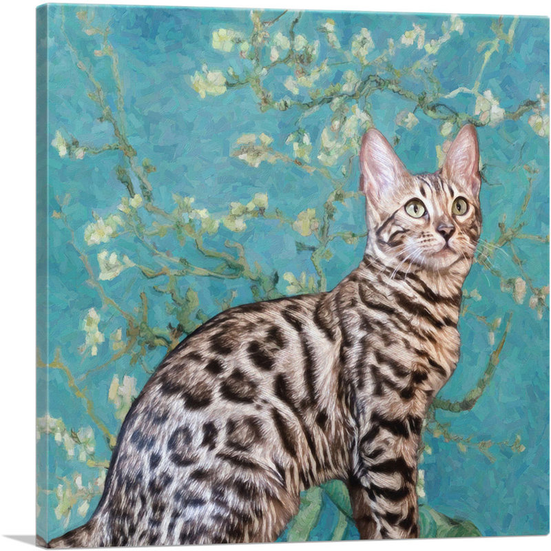 Reproduction d'art graphique sur toile Bengal Cat Breed, H 26 po x l 26 po x P 1,5 po