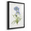 Blue Lived Botanical I - Cadre photo, reproduction d'art sur papier-847046997-847047001