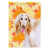 Afghan Hound