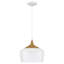 Luminaire suspendu en forme de dôme à 1 lumière Gagne 1-189802638-256500081