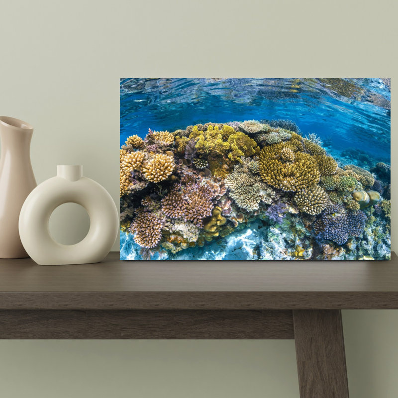 Impression murale Panoreef Ocean Tropical, H 12 po x l 18 po