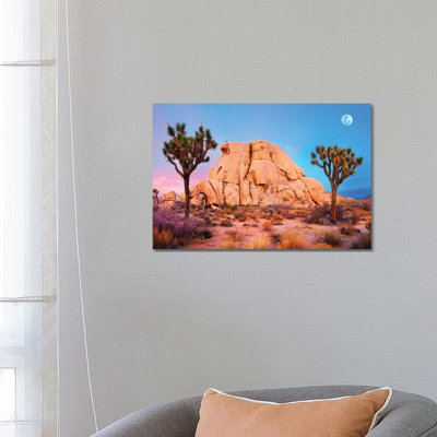 Joshua Tree National Park II by Susanne Kremer - Wrapped Canvas Gallery-Wrapped Canvas Giclée
