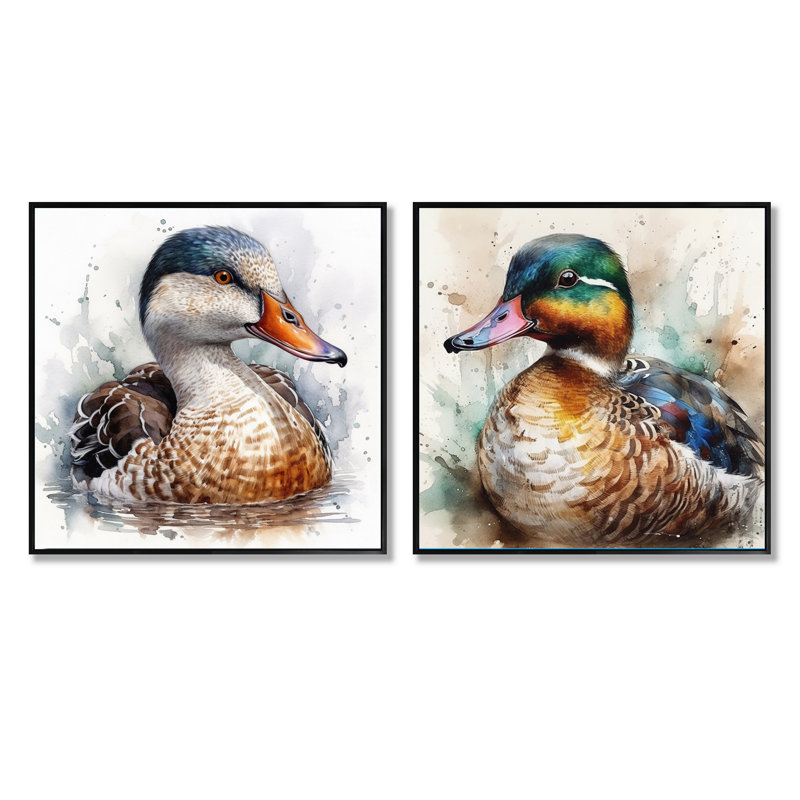 Magnificent_Male Duck - Animal Duck Square Collage Set Of 2, 30" H x 61" W, Black Floater Framed
